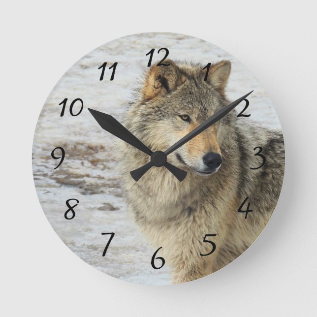 Horloge Ronde Loup d'hiver (Recto)