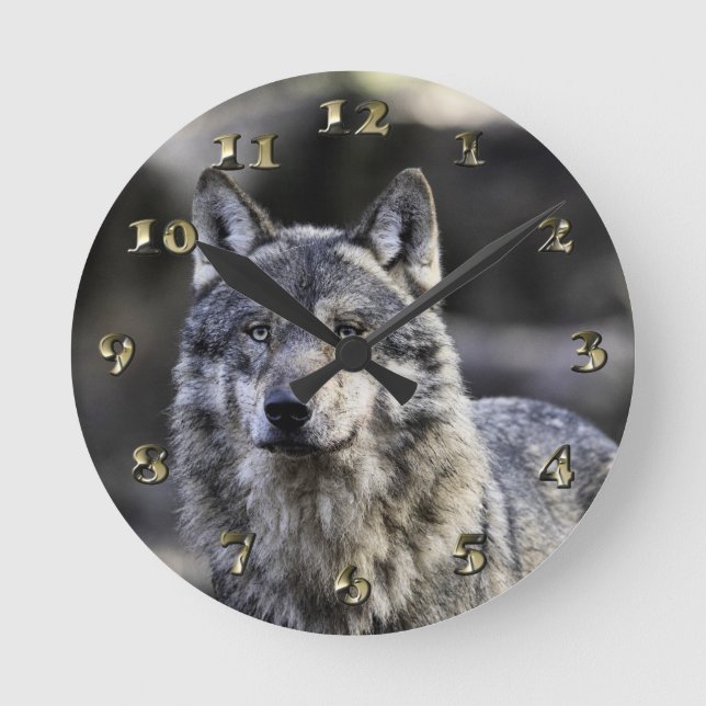 Horloge Ronde Loup gris (Recto)