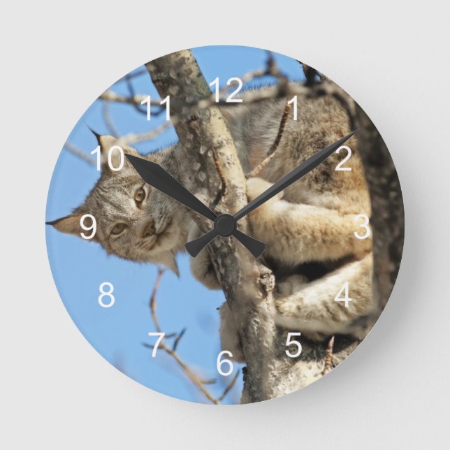 Horloge Ronde Lynx malfaisant (Recto)