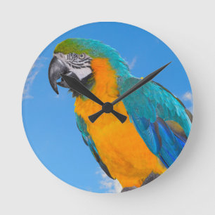 Horloge Ronde Macao bleu et jaune