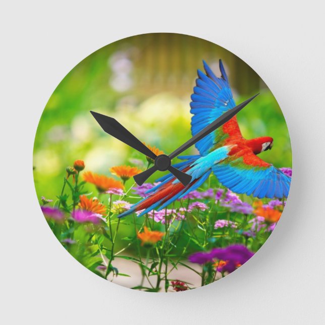 Horloge Ronde Macaw Parrot (Recto)