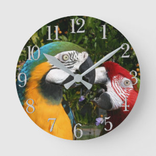 Horloge Ronde Macaw Parrot Birds Wildlife Animal Wall Clock
