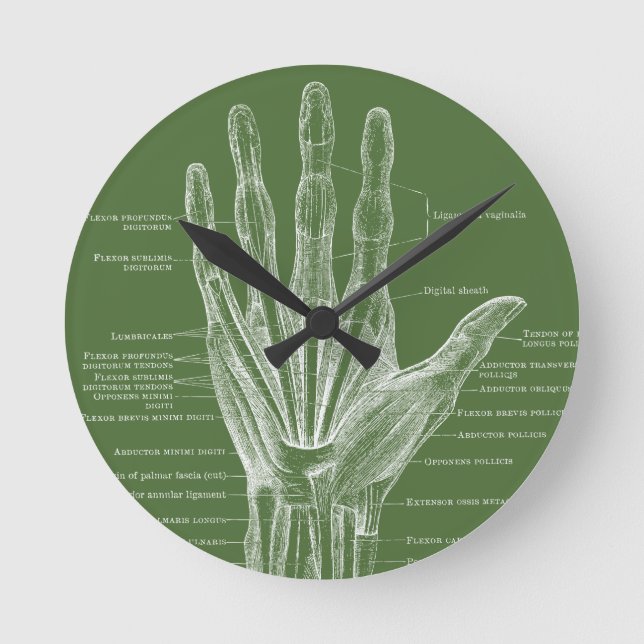 Horloge Ronde Main fingers vintage anatomy (Recto)