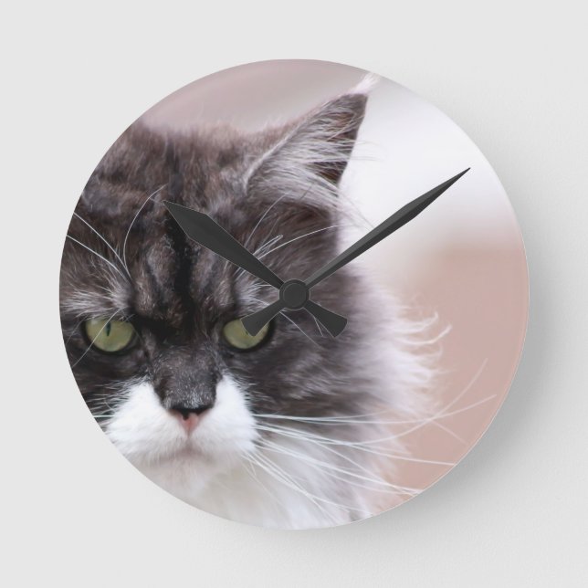 Horloge Ronde Maine Coon (Recto)