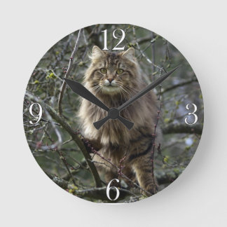 Horloge Ronde Maine Coon cheveux longs Tabby Chat Animal Animaux