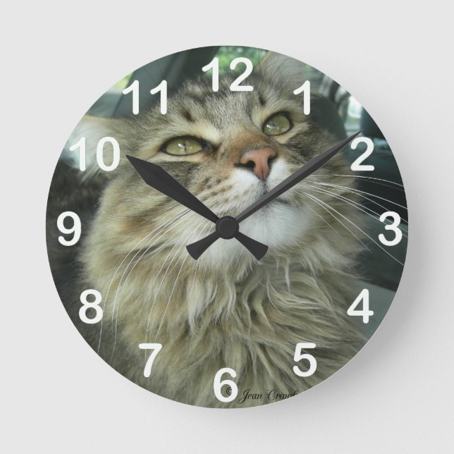 Horloge Ronde Maine Coon kitty (Recto)
