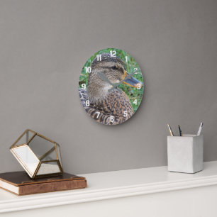 Horloge Ronde Mallard Duck Hen Photo