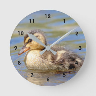 Horloge Ronde Mallard Duckling