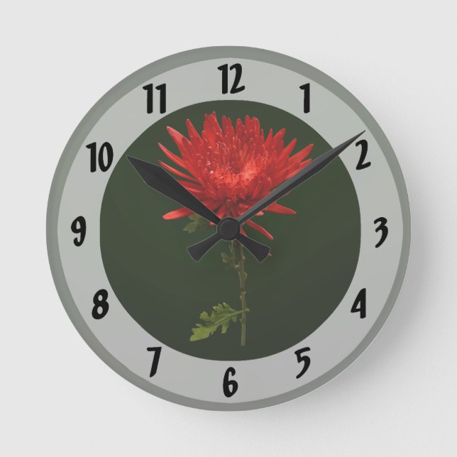 Horloge Ronde Maman d'araignée rouge (Recto)