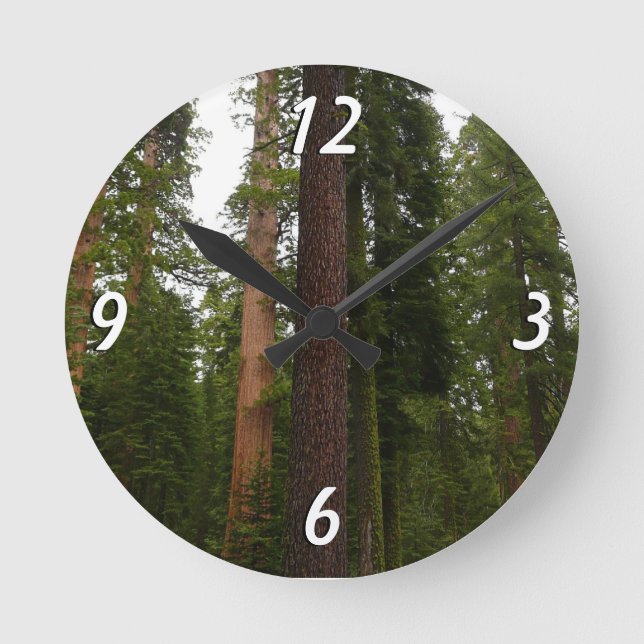 Horloge Ronde Mariposa Grove dans le parc national de Yosemite (Recto)