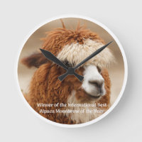 Meilleur Sourcil Unique d'Alpaca