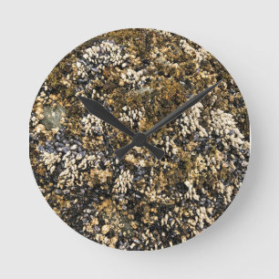 Horloge Ronde Meyers Beach North, Gold Beach, Oregon
