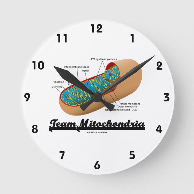 Horloge Ronde Mitochondries d'équipe (humour de mitochondrie) (Recto)