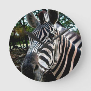 Horloge Ronde Mon ami strippy