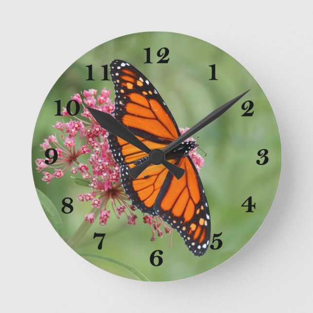 Horloge Ronde Monarch Butterfly (Recto)