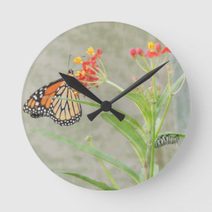 Horloge Ronde Monarch Butterfly et Caterpillar