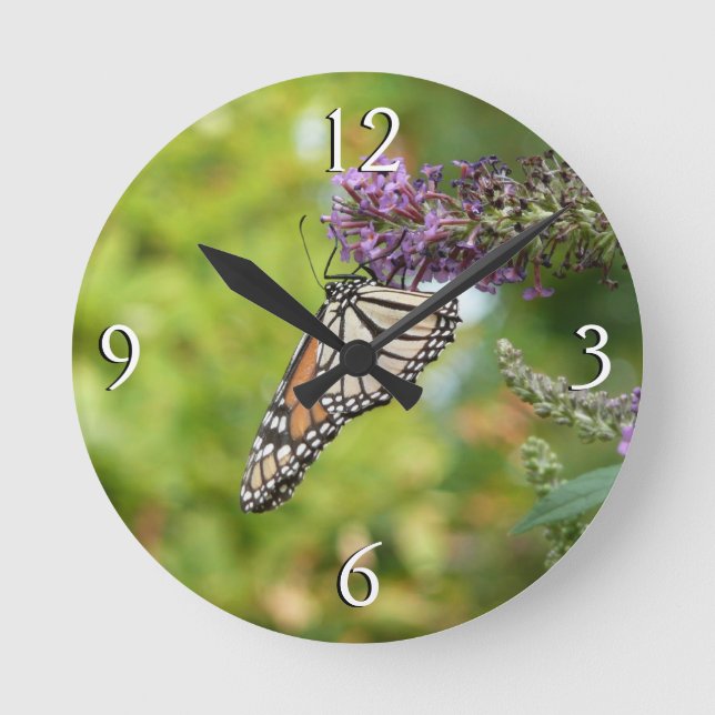Horloge Ronde Monarque papillon sur Buddleia pourpre (Recto)