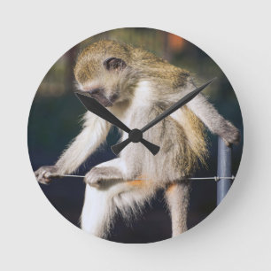 Horloge Ronde Monkey