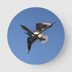 Horloge Ronde Mouette pygmée