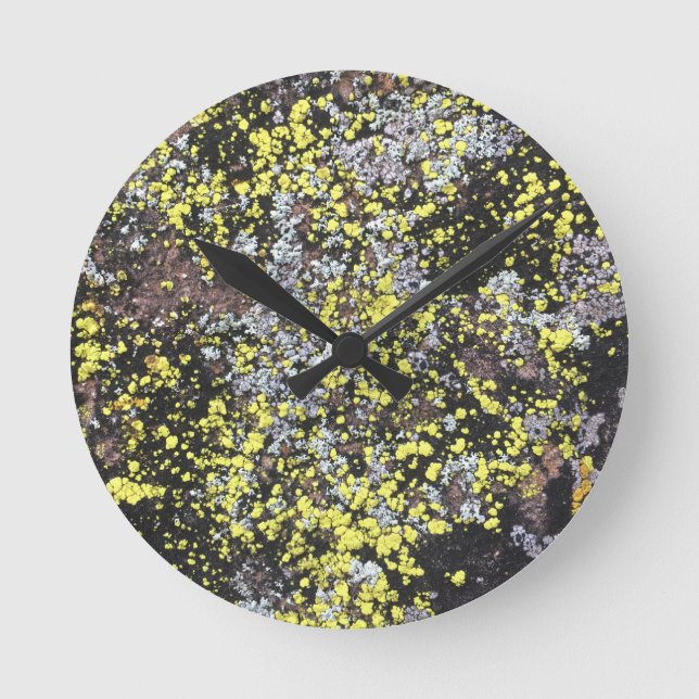 Horloge Ronde mousse #5 (Recto)