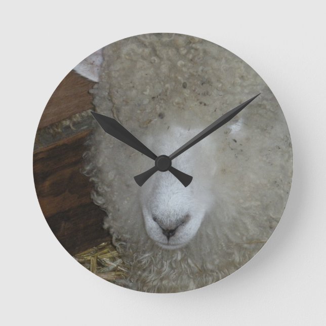 Horloge Ronde Moutons à la foire du comté (Recto)