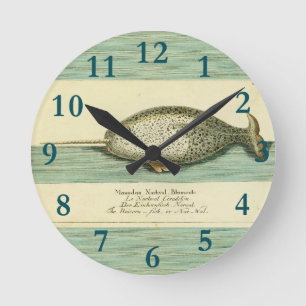 Horloge Ronde Narwhal Antique Baleine Aquarelle Art scientifique