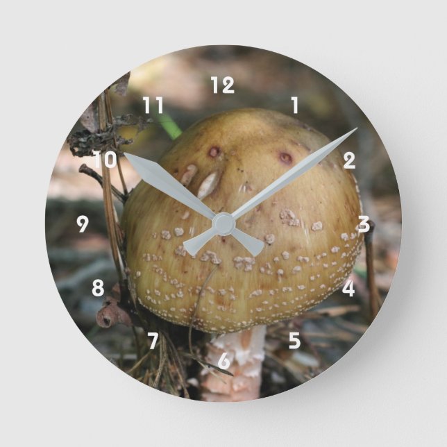 Horloge Ronde Nature du champignon Brown sauvage unique (Recto)