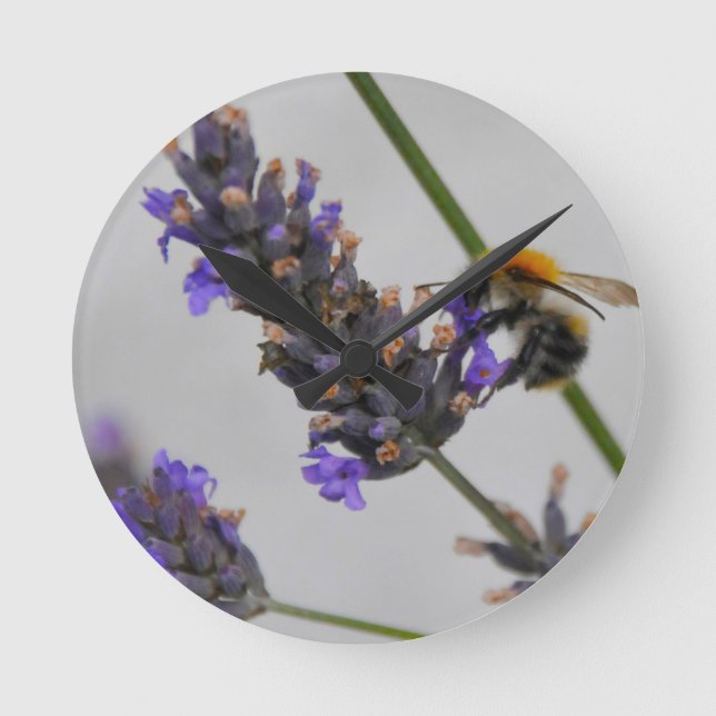 Horloge Ronde Natures de merveilleux travailleurs (Recto)