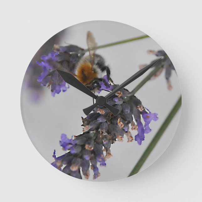 Horloge Ronde Natures de merveilleux travailleurs (Recto)