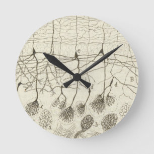 Horloge Ronde Neurons de Cajal 8