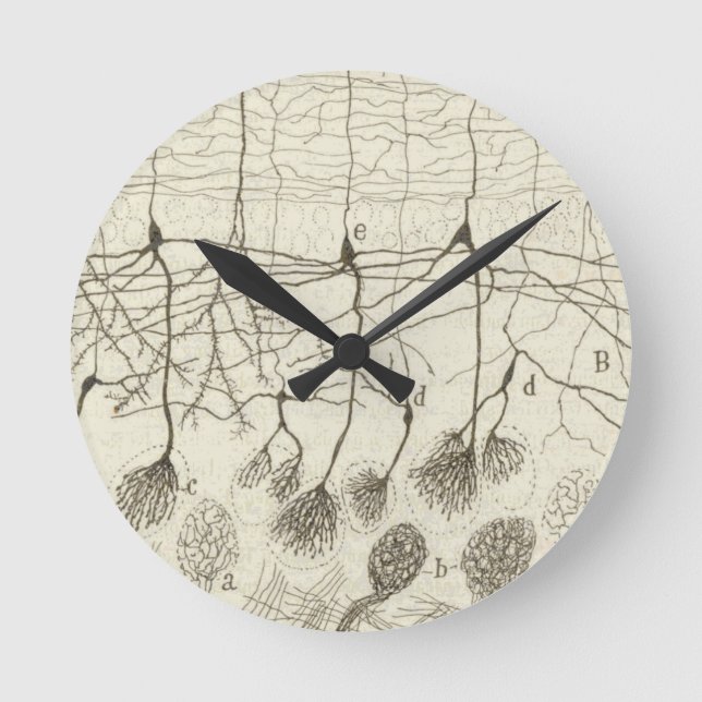 Horloge Ronde Neurons de Cajal 8 (Recto)