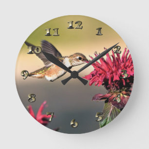 Horloge Ronde Nourriture des fleurs de colibri