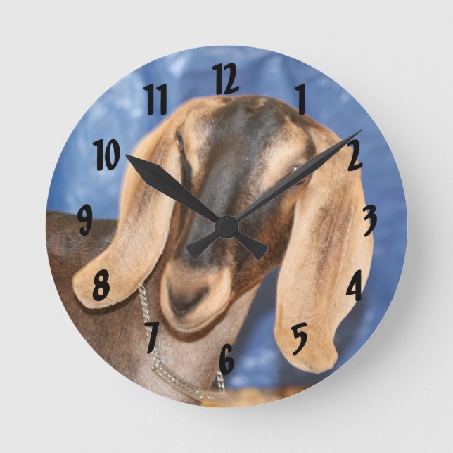 Horloge Ronde Nubian doe head against blue (Recto)
