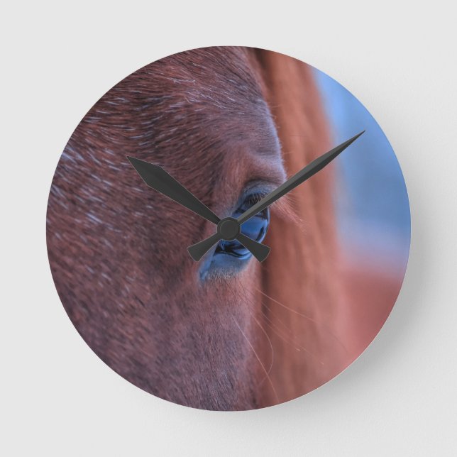 Horloge Ronde OEil de châtaignier équine Photo 2 (Recto)