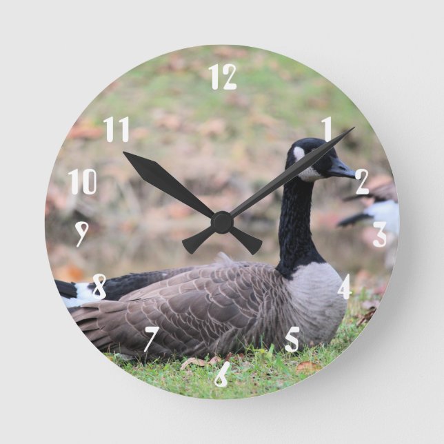 Horloge Ronde Oie (Recto)