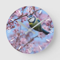 Oiseau bleu Tit en fleurs de cerisier japonais ros