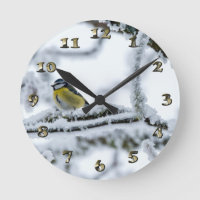 Oiseau bleu Tit perché sur une branche de neige