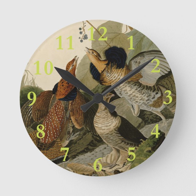 Horloge Ronde Oiseau de gibier Audubon (Recto)