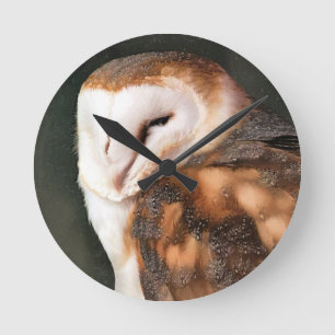 HORLOGE RONDE OISEAU DE PREY OWL