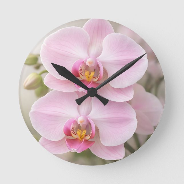 Horloge Ronde Orchidée Phalaenopsis Rose Tendre (Recto)