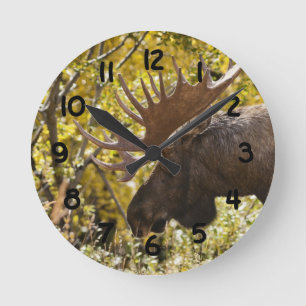 Horloge Ronde Orignaux nobles de Taureau
