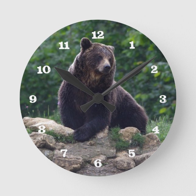 Horloge Ronde ours Brown (Recto)