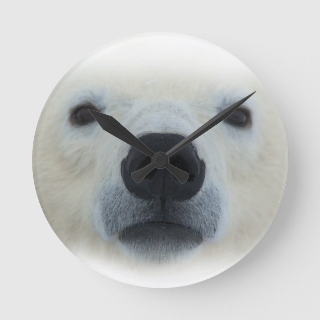 Horloge Ronde Ours polaire (Recto)