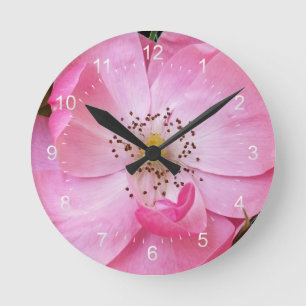 Horloge Ronde ouverture de minuscule rosebud