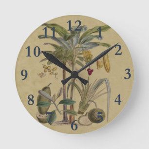 Horloge Ronde Palm Antique Fruit Tropical Art Botanique