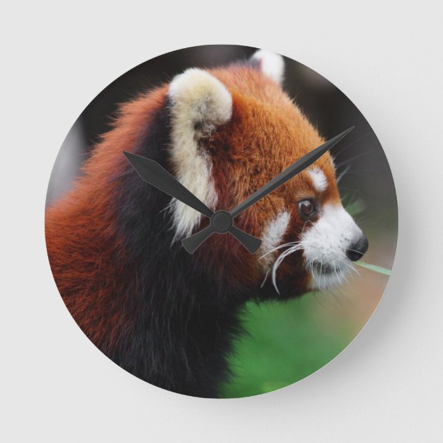 Horloge Ronde Panda rouge (Recto)