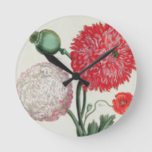 Horloge Ronde Papaver somniferum and Papaver rheas engraved by G