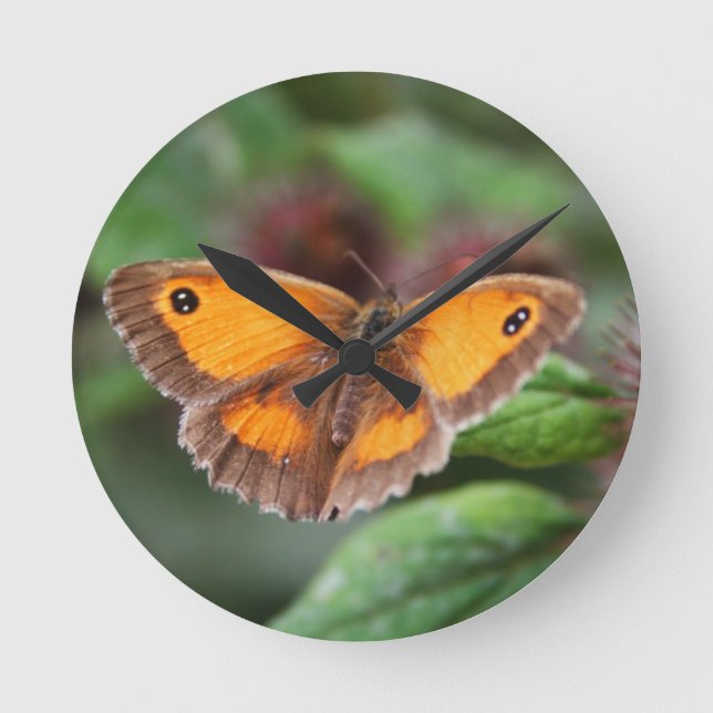 Horloge Ronde Papillon (Recto)