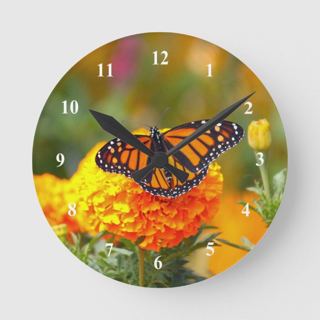 Horloge Ronde Papillon monarque Orange Marigold Photo (Recto)