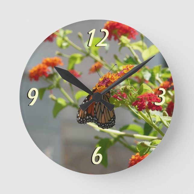 Horloge Ronde Papillon Monarque sur un Buddleia Rouge (Recto)